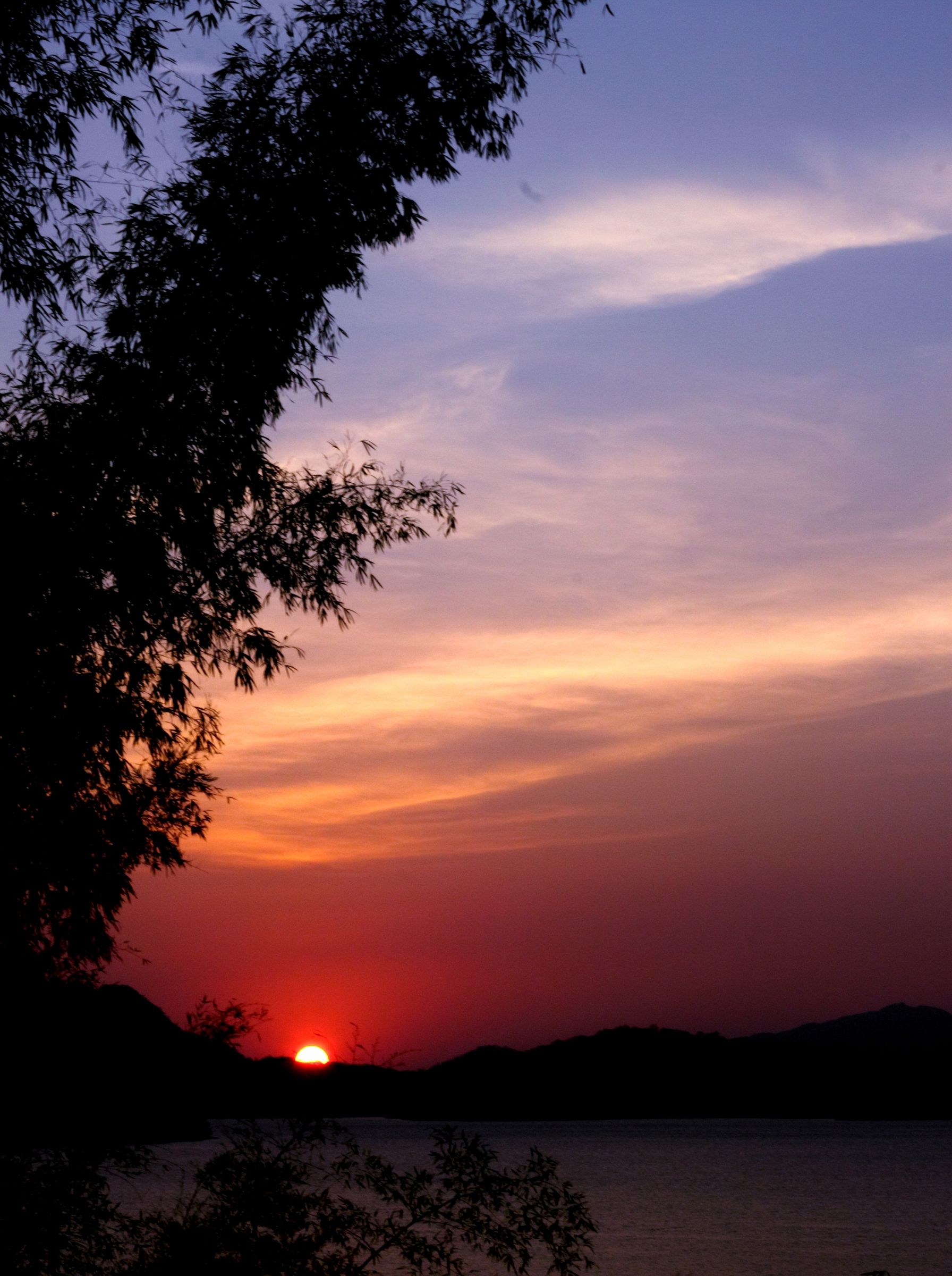 The sun setting red over a lake, framed by a dark tree